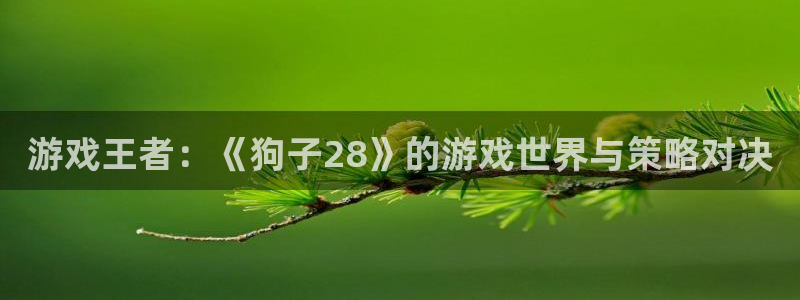 伟德国际1946体育3：游戏王者：《狗子28》的游戏世界与策略对决