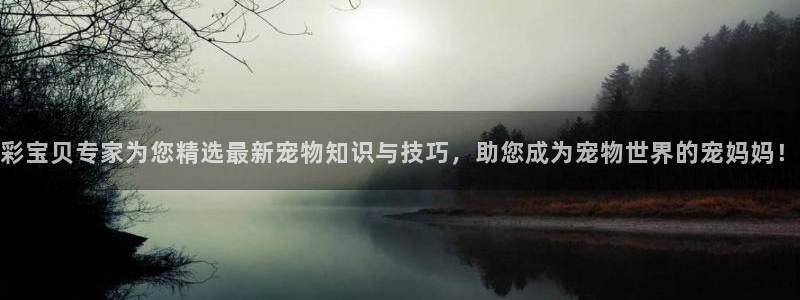 伟德国际1946体育凯捷平台注册：彩宝贝专家为您精选最新宠物知识与技巧，助您成为