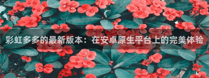 伟德国际1946官网入口：彩虹多多的最新版本：在安卓原生平台上的完美体验