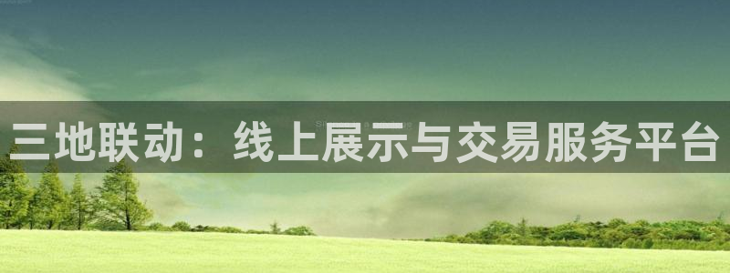伟德国际19462平台登录：三地联动：线上展示与交易服务平台