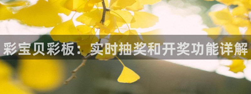 伟德国际1946平台开户：彩宝贝彩板：实时抽奖和开奖功能详解